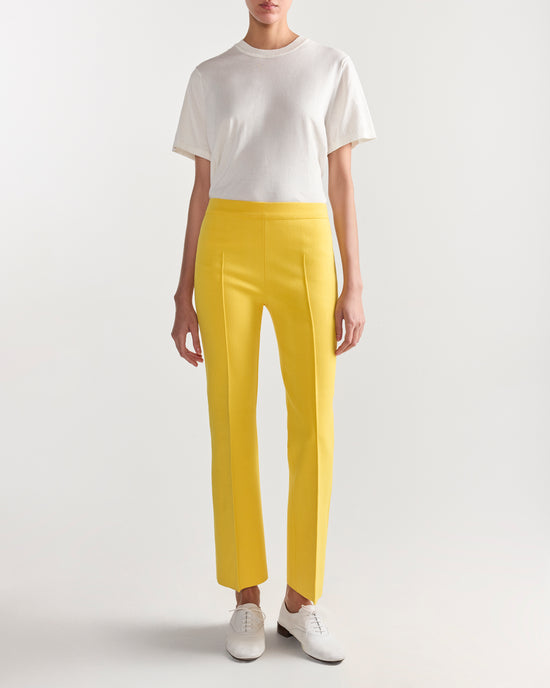 Kick Pant in Yellow Tonal Stripe